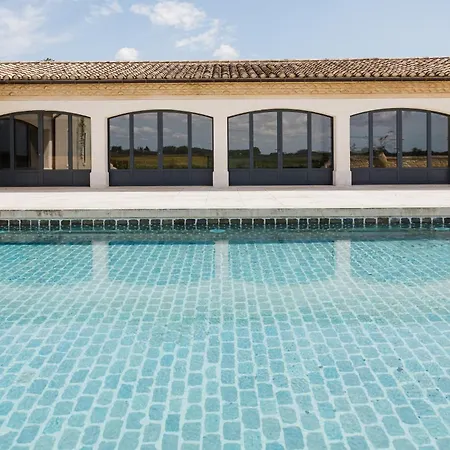 Domaine Mas de Rey-3